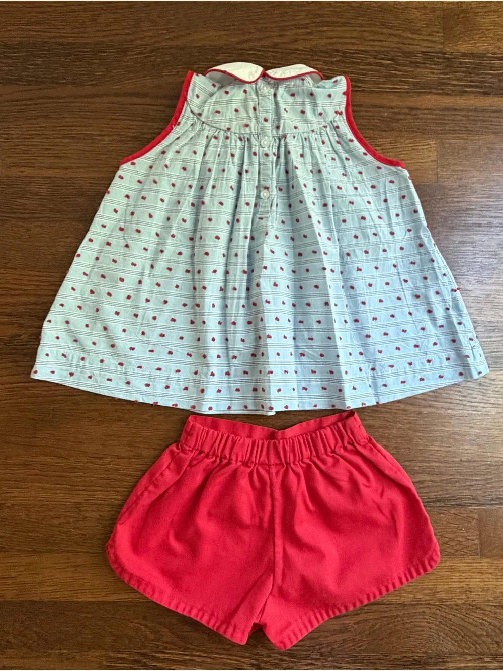 La Petite Fleur Light Blue & Red Swiss Dot Top with Red Shorts 4